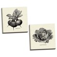 thumbnail image 1 of Gango Home Decor Contemporary Linen Vegetable BW Sketch Beets & Lettuce by Studio Mousseau (Ready to Hang); Two 16x16in Hand-Stretched Canvases, 1 of 5