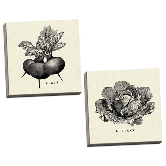 Gango Home Decor Contemporary Linen Vegetable BW Sketch Beets & Lettuce by Studio Mousseau (Ready to Hang); Two 16x16in Hand-Stretched Canvases