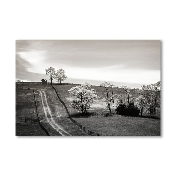 Gango Home Decor Contemporary Lonely Road II by Alan Hausenflock (Printed on Paper); One 24x16in Fine Art Paper Giclee Print