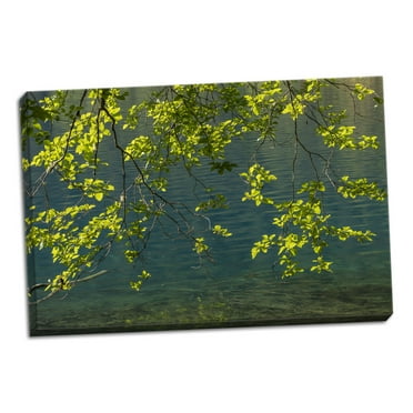 Gango Home Decor Contemporary Overhanging Alder Trees II by Kathy Mahan (Ready to Hang); One 36x24in Hand-Stretched Canvas