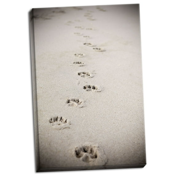 Gango Home Decor Contemporary Paw Prints In Sand by Karyn Millet (Ready to Hang); One 16x24in Hand-Stretched Canvas