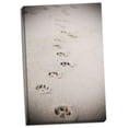 thumbnail image 1 of Gango Home Decor Contemporary Paw Prints In Sand by Karyn Millet (Ready to Hang); One 24x36in Hand-Stretched Canvas, 1 of 3