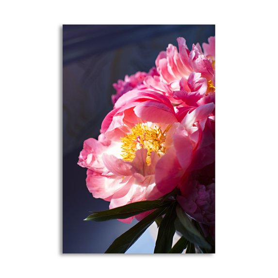Gango Home Decor Contemporary Pink Floral Bloom by Karyn Millet (Printed on Paper); One 16x24in Fine Art Paper Giclee Print