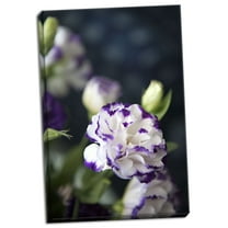 Gango Home Decor Contemporary Purple Tipped Floral III by Karyn Millet (Ready to Hang); One 16x24in Hand-Stretched Canvas