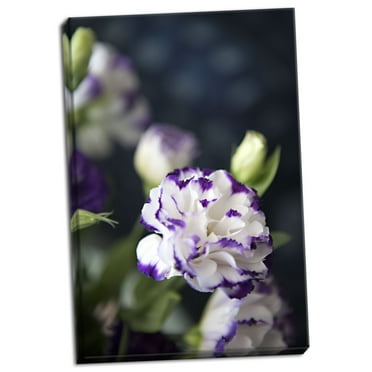 Gango Home Decor Contemporary Purple Tipped Floral III by Karyn Millet (Ready to Hang); One 16x24in Hand-Stretched Canvas
