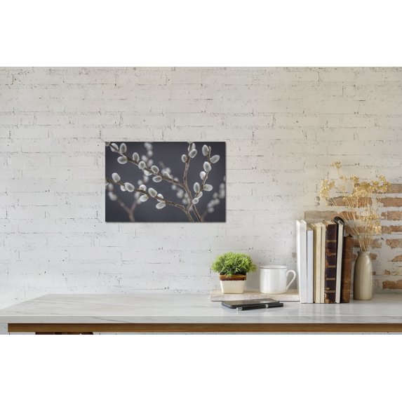Gango Home Decor Contemporary Pussy Willows I by Kathy Mahan (Printed on Paper); One 24x16in Fine Art Paper Giclee Print