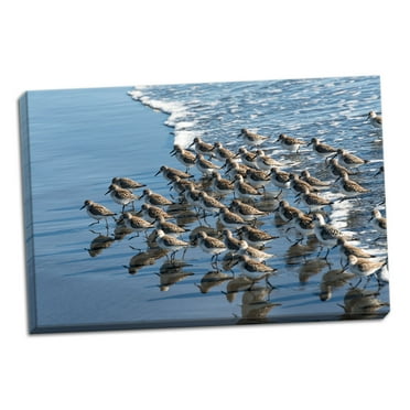Gango Home Decor Contemporary Sandpipers at Kalaloch by Stan Hellmann (Ready to Hang); One 36x24in Hand-Stretched Canvas