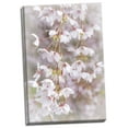 thumbnail image 1 of Gango Home Decor Contemporary Soft Cherry Blossoms I by Kathy Mahan (Ready to Hang); One 16x24in Hand-Stretched Canvas, 1 of 4