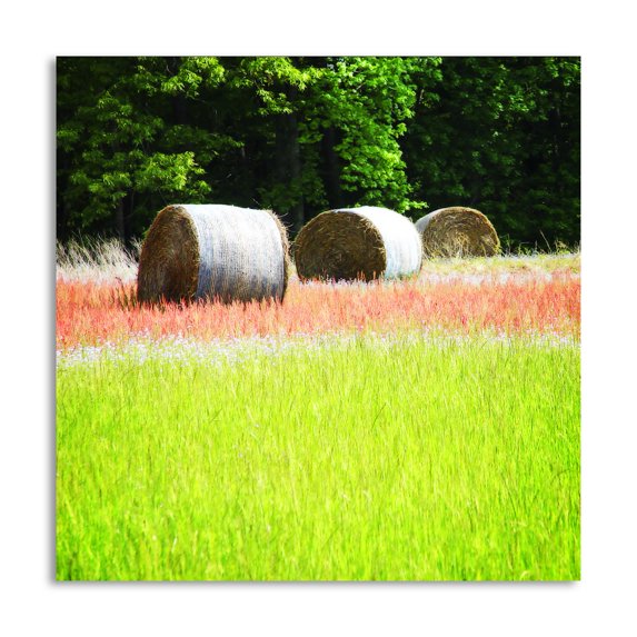 Gango Home Decor Contemporary Spring Fields II by Alan Hausenflock (Printed on Paper); One 16x16in Fine Art Paper Giclee Print
