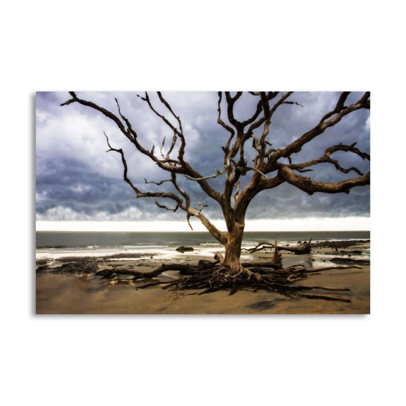 Gango Home Decor Contemporary Storm is Coming II by Alan Hausenflock (Printed on Paper); One 36x24in Fine Art Paper Giclee Print