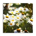 thumbnail image 1 of Gango Home Decor Contemporary Sunlit Daisies by Alan Hausenflock (Printed on Paper); One 16x16in Fine Art Paper Giclee Print, 1 of 3