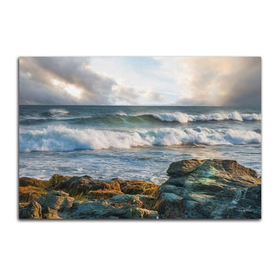 Gango Home Decor Contemporary The Clearing by Robin-Lee Vieira (Printed on Paper); One 18x12in Unframed Paper Poster