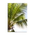 thumbnail image 1 of Gango Home Decor Contemporary Tropical Coconut Tree by Karyn Millet (Printed on Paper); One 24x36in Fine Art Paper Giclee Print, 1 of 4