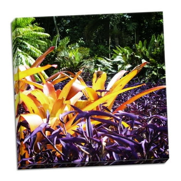 Gango Home Decor Contemporary Tropical Garden II by Alan Hausenflock (Ready to Hang); One 16x16in Hand-Stretched Canvas