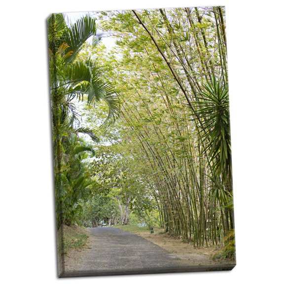 Gango Home Decor Contemporary Tropical Path II by Karyn Millet (Ready to Hang); One 16x24in Hand-Stretched Canvas