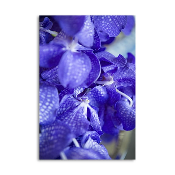 Gango Home Decor Contemporary Vibrant Perwinkle Floral II by Karyn Millet (Printed on Paper); One 16x24in Fine Art Paper Giclee Print