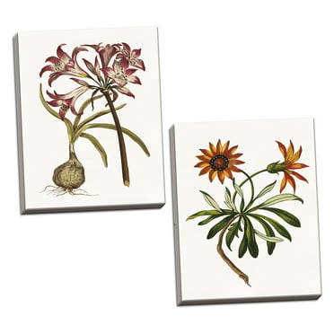 Gango Home Decor Contemporary Vintage Floral I & II on White by Wild Apple Portfolio (Ready to Hang); Two 16x24in Hand-Stretched Canvases