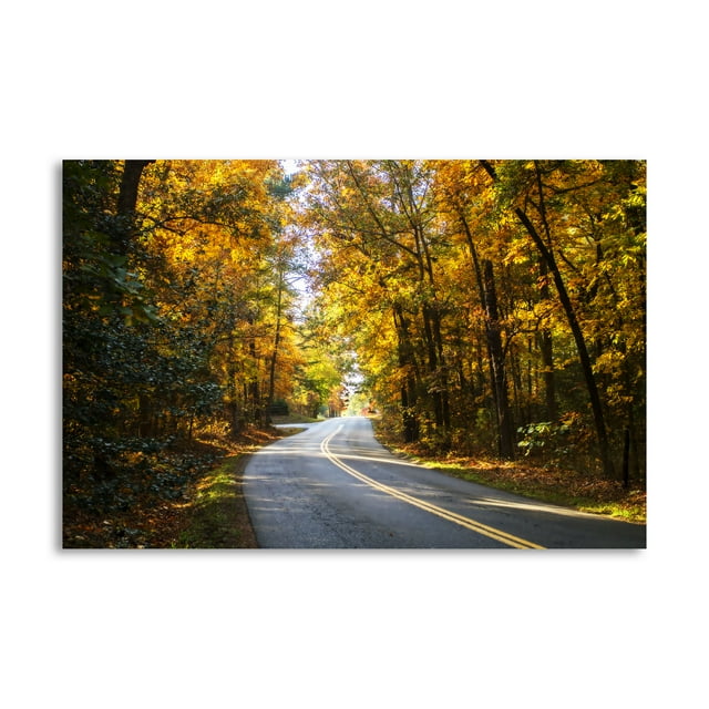 Gango Home Decor Contemporary Walnut Grove Road II by Alan Hausenflock (Printed on Paper); One 36x24in Fine Art Paper Giclee Print