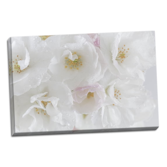 Gango Home Decor Contemporary White Cherry Blossoms I by Kathy Mahan (Ready to Hang); One 24x16in Hand-Stretched Canvas
