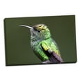thumbnail image 1 of Gango Home Decor Copper Headed by Larry Malvin (Ready to Hang); One 36x24in Hand-Stretched Canvas, 1 of 4