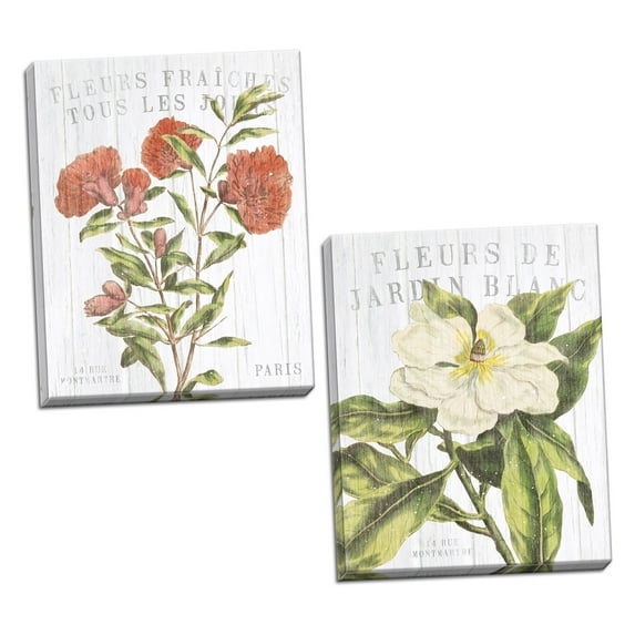 Gango Home Decor Cottage Fleuriste Paris II & Fleuriste Paris III by Wild Apple Portfolio (Ready to Hang); Two 11x14in Hand-Stretched Canvases
