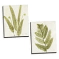 thumbnail image 1 of Gango Home Decor Cottage Forest Ferns I & II by Albena Hristova (Ready to Hang); Two 16x16in Hand-Stretched Canvases, 1 of 5