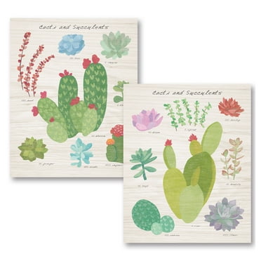 Gango Home Decor Cottage Succulent and Cacti Chart III on Wood & Succulent and Cacti Chart IV on Wood by Wild Apple Portfolio (Printed on Paper); Two 11x14in Unframed Paper Posters