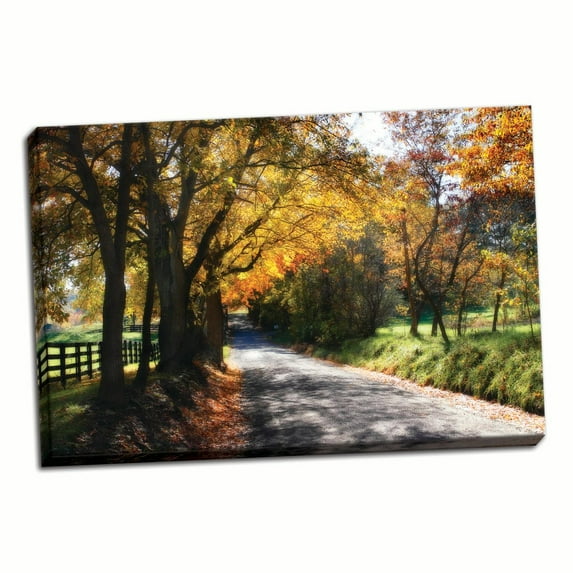 Gango Home Decor Country Road II by Alan Hausenflock (Ready to Hang); One 36x24in Hand-Stretched Canvas