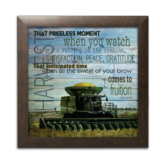Gango Home Decor Country-Rustic That Priceless Moment by Cindy Jacobs (Ready to Hang); One 12x12in Brown Framed Print