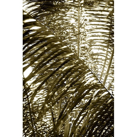 Gango Home Decor Dancing Light I by Alan Hausenflock (Printed on Paper); One 24x36in Fine Art Paper Giclee Print
