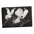 thumbnail image 1 of Gango Home Decor Dogwood Delicacy II B&W by Vitaly Geyman (Ready to Hang); One 36x24in Hand-Stretched Canvas, 1 of 4