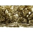 thumbnail image 1 of Gango Home Decor Druid Oaks I by Alan Hausenflock (Printed on Paper); One 36x24in Fine Art Paper Giclee Print, 1 of 4