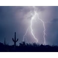 thumbnail image 1 of Gango Home Decor Electric Desert I by Douglas Taylor (Printed on Paper); One 28x22in Fine Art Paper Giclee Print, 1 of 4