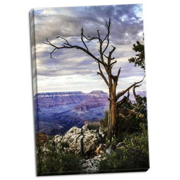 Gango Home Decor Evening on the Rim I by Alan Hausenflock (Ready to Hang); One 24x36in Hand-Stretched Canvas
