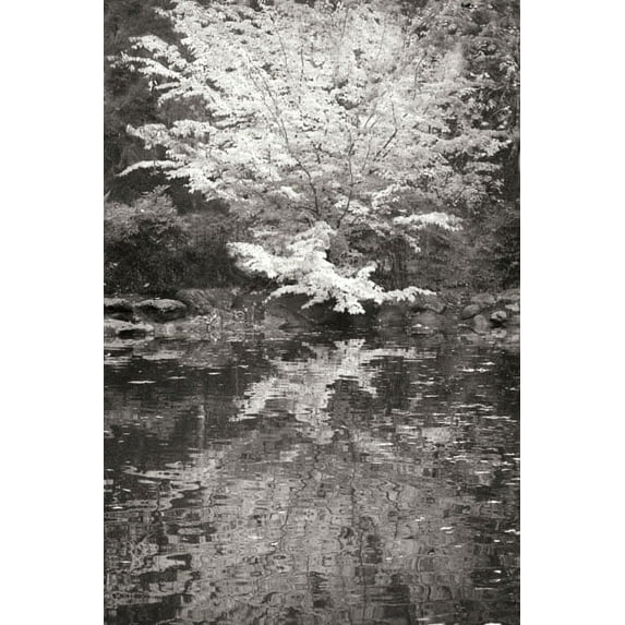 Gango Home Decor Fall Bouquet I B&W by Vitaly Geyman (Printed on Paper); One 24x36in Fine Art Paper Giclee Print