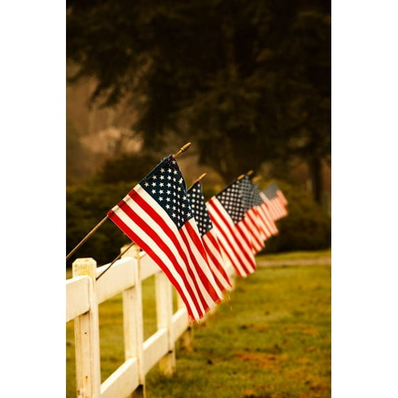 Gango Home Decor Flags II by Philip Clayton Thompson (Printed on Paper); One 24x36in Fine Art Paper Giclee Print