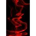 thumbnail image 1 of Gango Home Decor Flamenco I by Monika Burkhart (Printed on Paper); One 24x36in Fine Art Paper Giclee Print, 1 of 4
