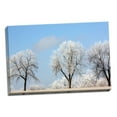 thumbnail image 1 of Gango Home Decor Frozen Fog I by Tammy Putman (Ready to Hang); One 36x24in Hand-Stretched Canvas, 1 of 4