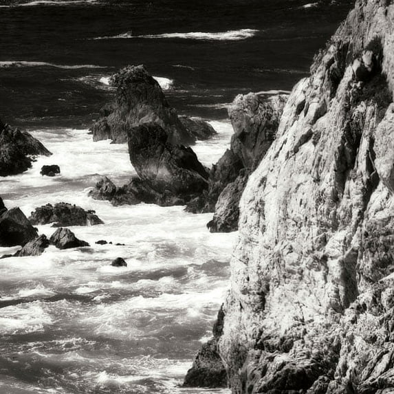 Gango Home Decor Garrapata 7 BW Square by Alan Hausenflock (Printed on Paper); One 24x24in Fine Art Paper Giclee Print