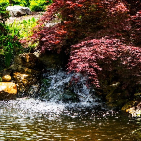 Gango Home Decor Gentle Waterfall II by Alan Hausenflock (Printed on Paper); One 24x24in Fine Art Paper Giclee Print