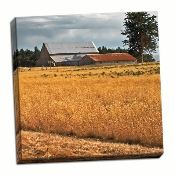 Gango Home Decor Golden Fields I by Rita Crane (Ready to Hang); One 24x24in Hand-Stretched Canvas