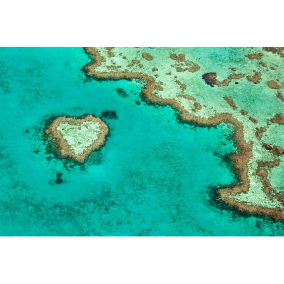 Gango Home Decor Great Barrier Reef II by Larry Malvin (Printed on Paper); One 36x24in Fine Art Paper Giclee Print
