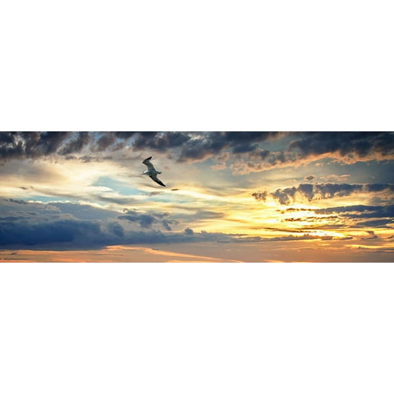 Gango Home Decor Gull Above the Sea I by Alan Hausenflock (Printed on Paper); One 36x12in Fine Art Paper Giclee Print