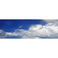 thumbnail image 1 of Gango Home Decor Gull Above the Sea II by Alan Hausenflock (Printed on Paper); One 36x12in Fine Art Paper Giclee Print, 1 of 4