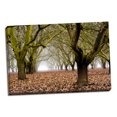 thumbnail image 1 of Gango Home Decor Hazel Tree Grove I by Erin Berzel (Ready to Hang); One 36x24in Hand-Stretched Canvas, 1 of 4