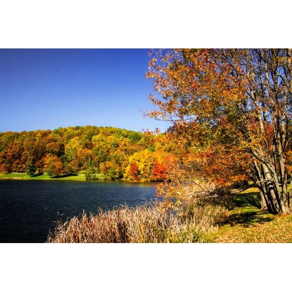 Gango Home Decor Highland Autumn I by Alan Hausenflock (Printed on Paper); One 36x24in Fine Art Paper Giclee Print