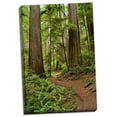 thumbnail image 1 of Gango Home Decor Hiking Trail I by Brian Moore (Ready to Hang); One 24x36in Hand-Stretched Canvas, 1 of 4