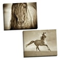 thumbnail image 1 of Gango Home Decor Horizontal Like the Wind & Mustang Sally by Lisa Dearing (Ready to Hang); Two 20x16in Hand-Stretched Canvases, 1 of 5