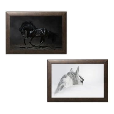 Gango Home Decor Horizontal White Horse & Onyx by PhotoINC Studio (Ready to Hang); Two 18x12in Brown Framed Prints