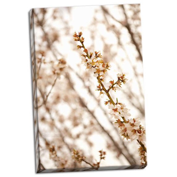 Gango Home Decor In Bloom XIV by Karyn Millet (Ready to Hang); One 24x36in Hand-Stretched Canvas